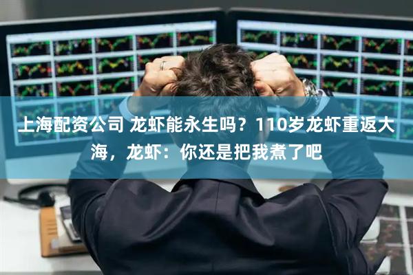 上海配资公司 龙虾能永生吗？110岁龙虾重返大海，龙虾：你还是把我煮了吧