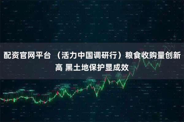 配资官网平台 （活力中国调研行）粮食收购量创新高 黑土地保护显成效
